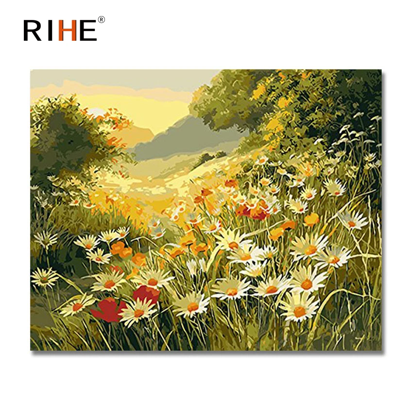 

RIHE Daisy Flowers Diy Painting By Numbers Brushwood Oil Painting Cuadros Decoracion Acrylic Paint On Canvas Modern Wall Art