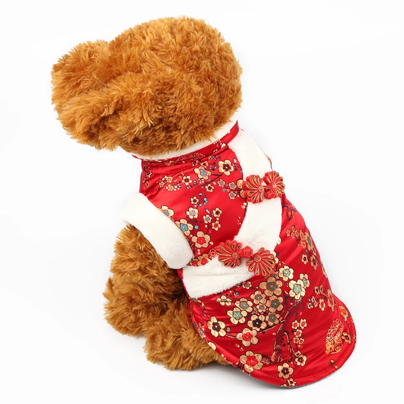 03 yorkshire terrier 