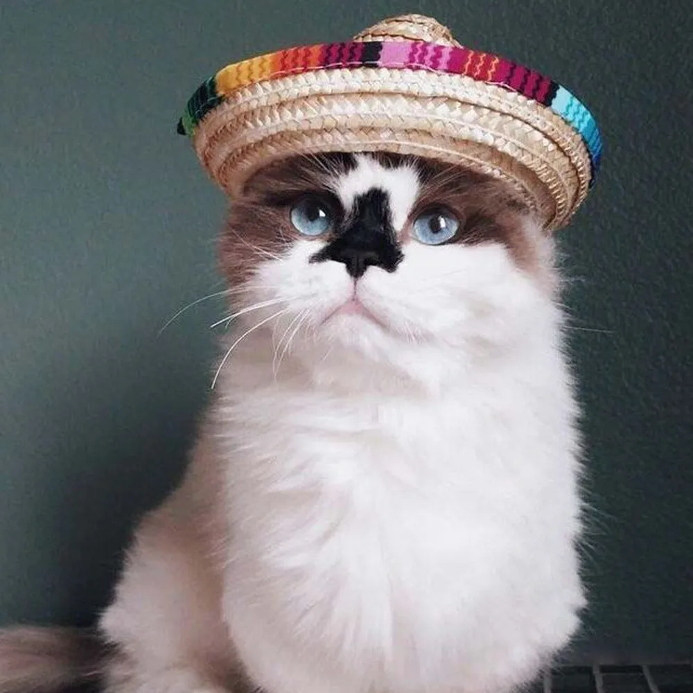 

MUQGEW Multicolor Dog Cat Mexican Straw Sombrero Hat Pet Adjustable Buckle Costume Dog Cat Straw hat pet supplies dog products