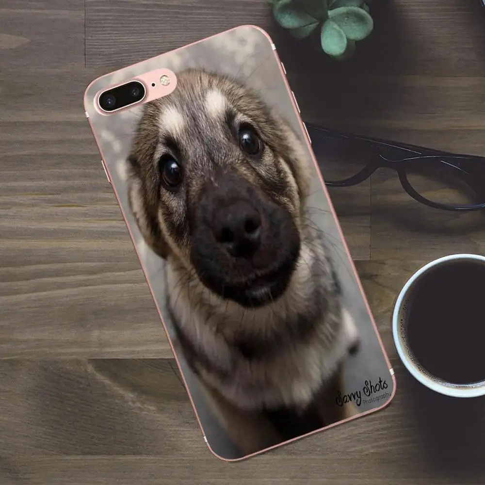 Мягкий ТПУ телефон Bixedx для маленьких собак Huawei G8 Honor 5C 5X 6 6X 7 8 9 Y5II Mate P7 P8 P9 P10 P20 Lite Plus