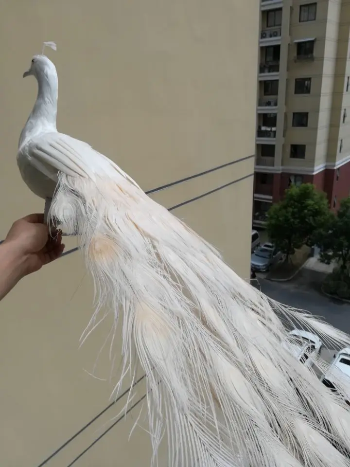 

real life Bird white feathers Bird Peafowls large 120cm white peacock home garden decoration filming prop gift h1489