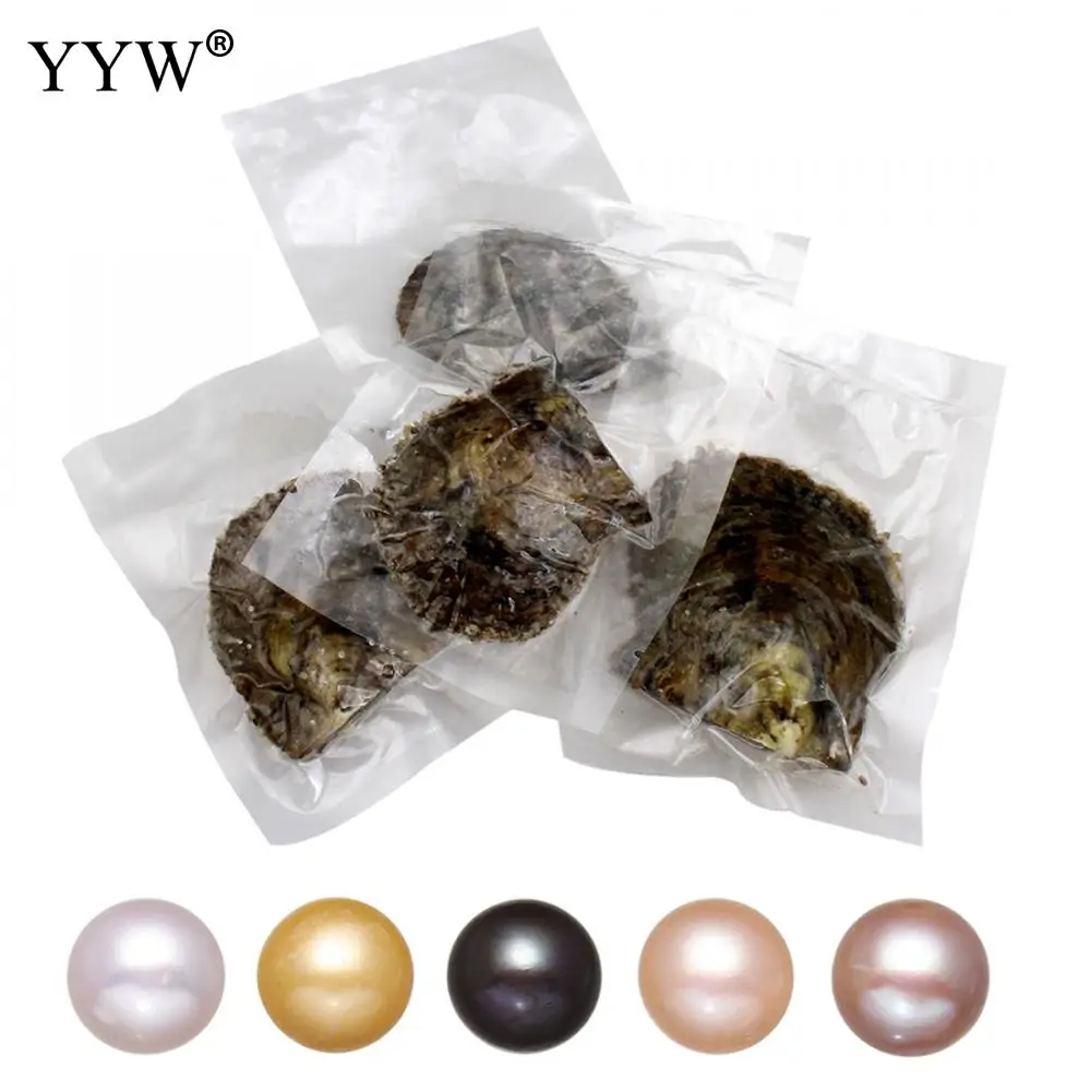 

1PC 9-10mm Vacuum pack Oyster Akoya pearl High Quality pearl oysters single bowling individually packaged Birthday Wedding Gift