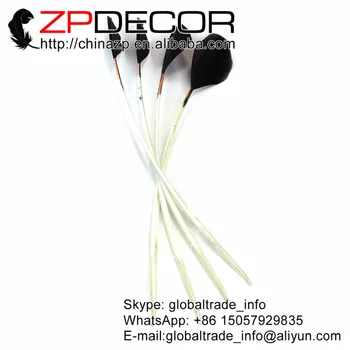 

Leading Supplier ZPDECOR 50pieces/lot 30-35cm(12-14inch) Bulk Sale Dyed Black Stripped Turkey Pointer Quills Wing Feather