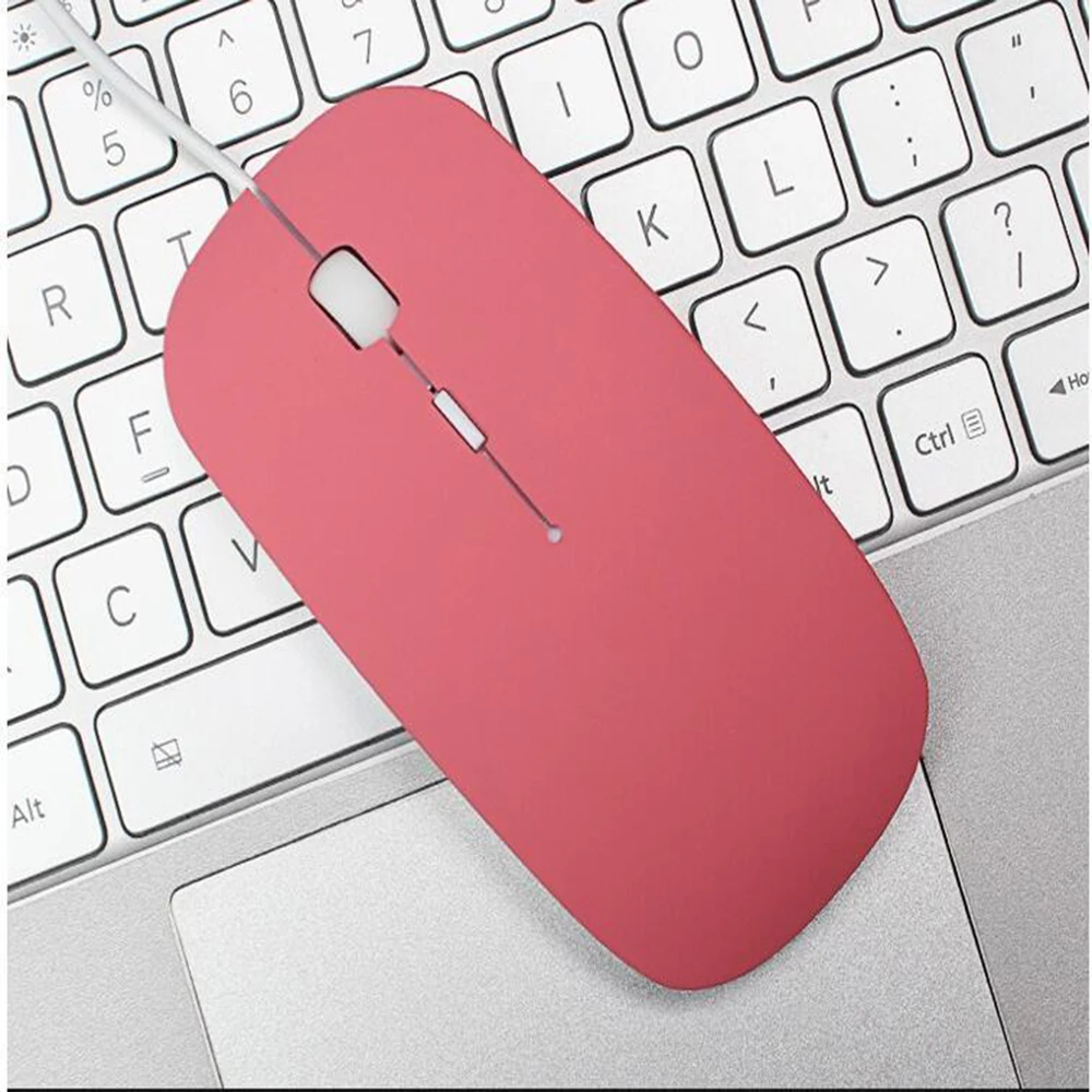 10181465082_105635961