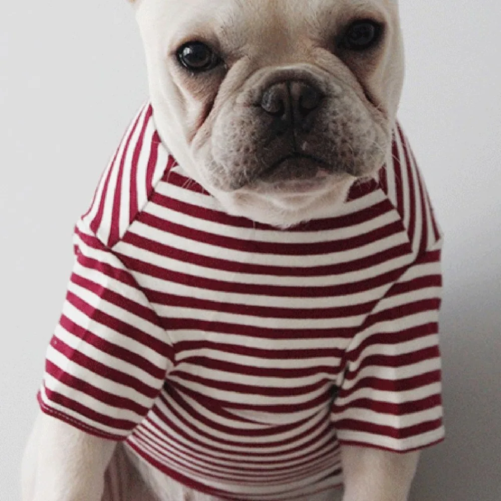 Spring Summer Pet Dog Shirt Fashion Striped Short Sleeve High Collar Cotton Shirt Universal Dog Clothes For Most Dogs