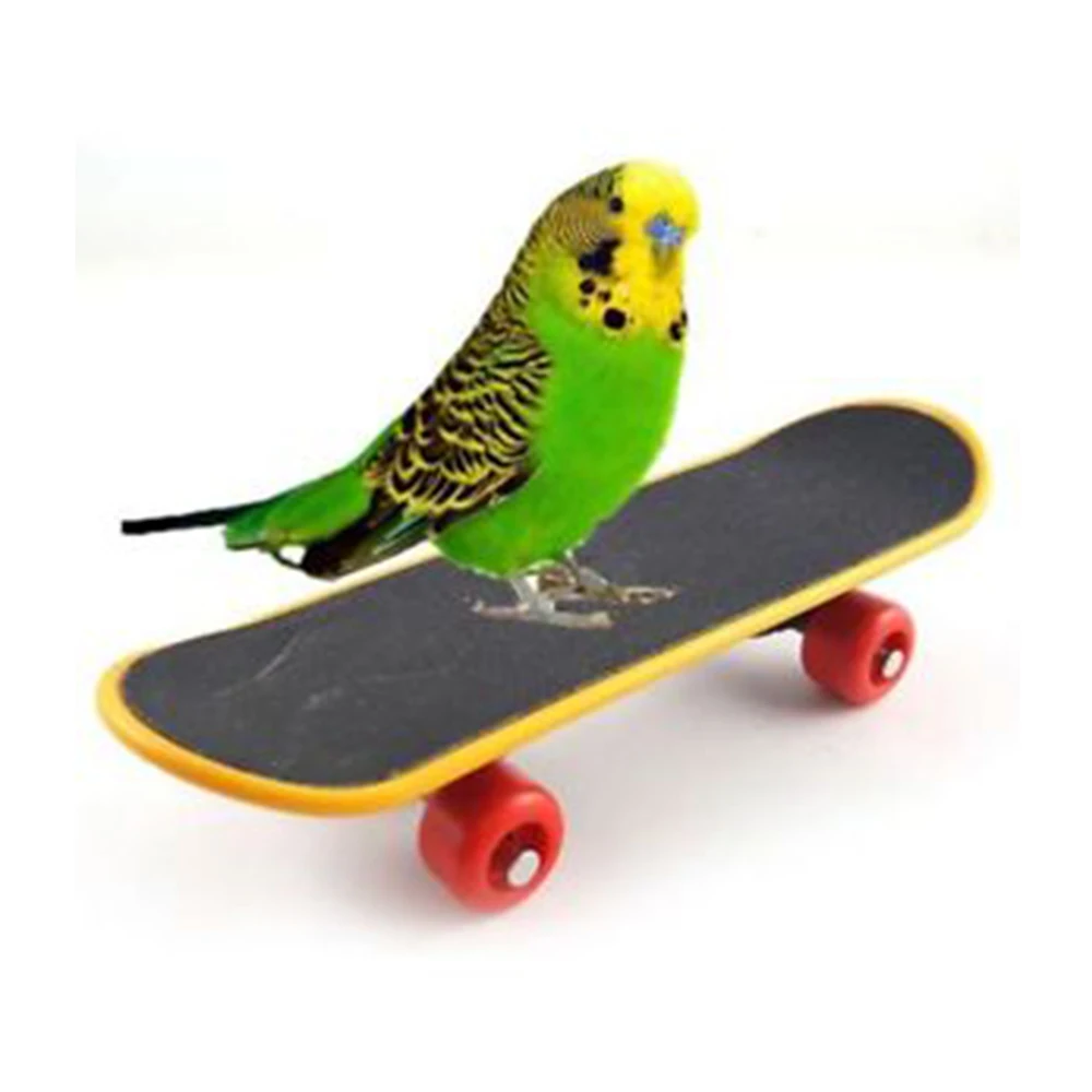 Развивающий мини-скейтборд для попугаев, забавная игрушка для роста попугаев, шлифовальный коготь, мини-скейтборд