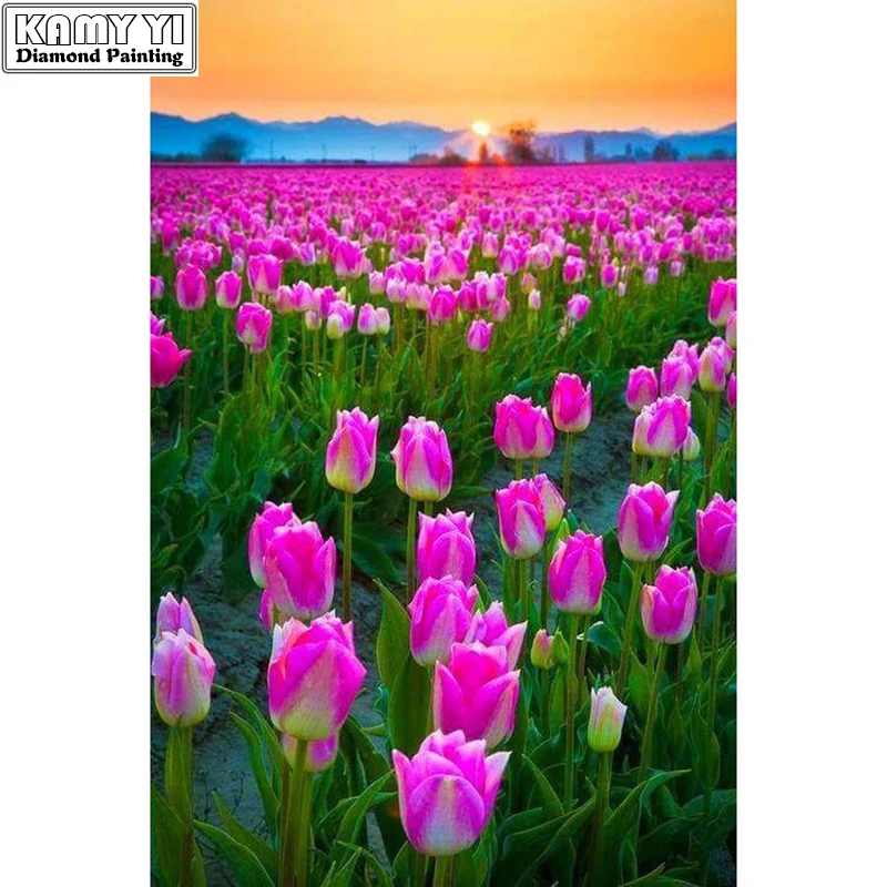 HTB1HyjpRXXXXXXzaXXXq6xXFXXXP 