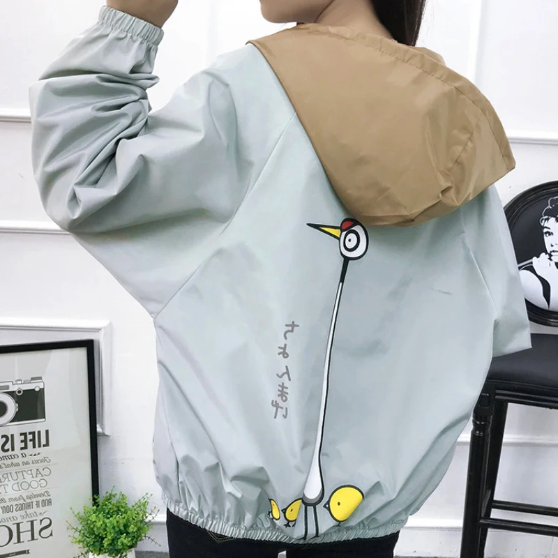 IV0212QL (5)