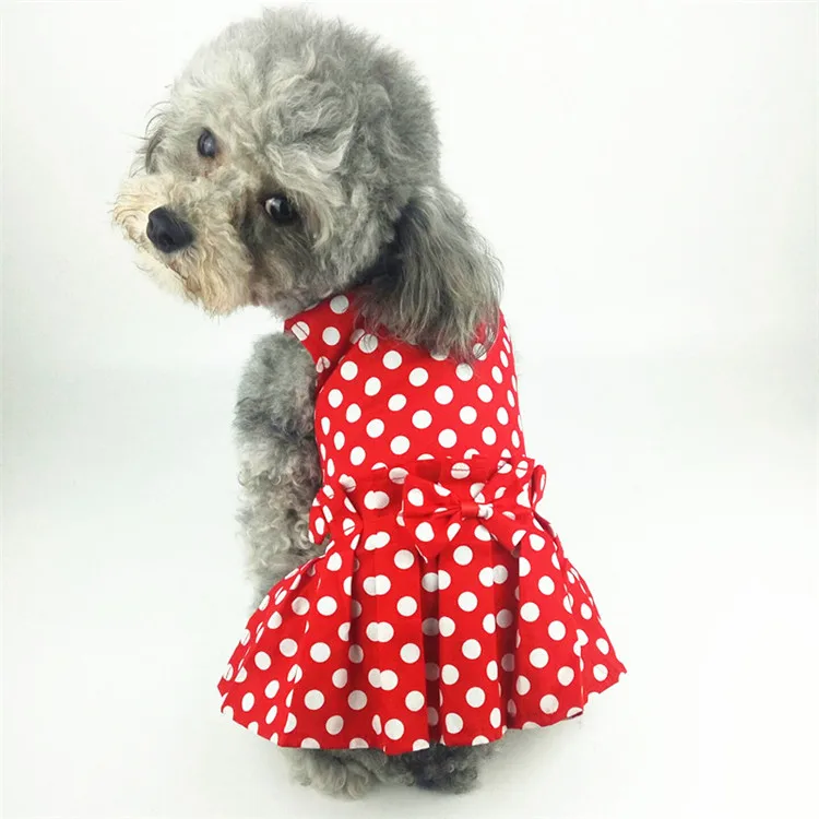 Dogs Clothes (7)