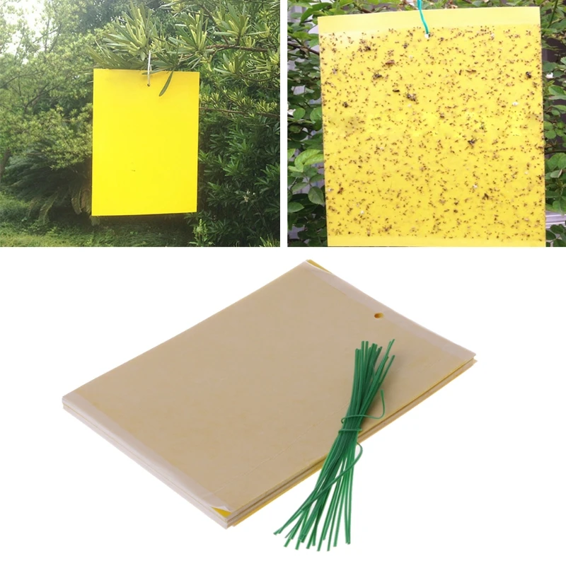 https://ae01.alicdn.com/kf/HTB1fVdpaxD1gK0jSZFyq6AiOVXa9/Yellow-Sticky-Fly-Traps-20x15cm-Dual-Sided-Sticky-Traps-Fly-Paper-Stickers-Plant-Fly-Catchers-Catcher.jpg