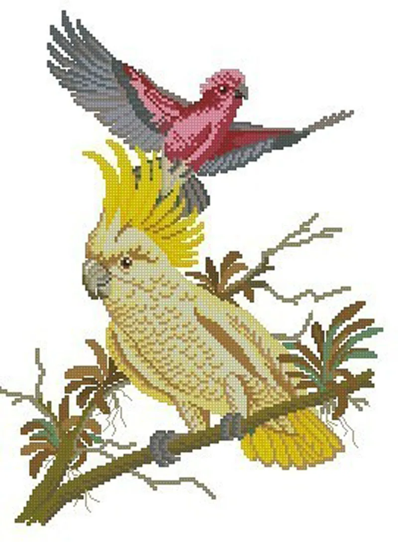 попугаи вышивают. схема вышивки волнистые попугайчики.
