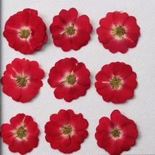 Новейшая Китайская красная роза сушеная прессованная Закладка в форме цветка материал 1 лот/120 шт