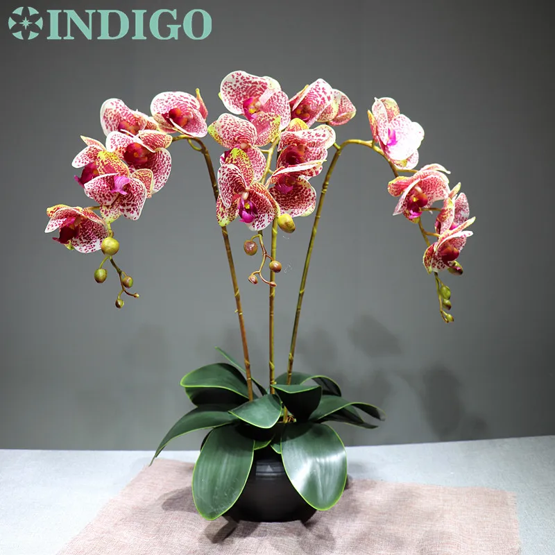 Индиго-красный цветок орхидеи, 90 см(3 орхидеи+ 3 листа), настоящий цветок на ощупь, украшение для свадебной вечеринки, событие