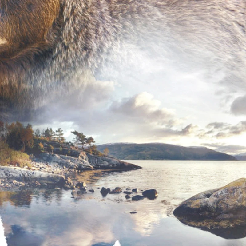 il_fullxfull.690921097_rh8k