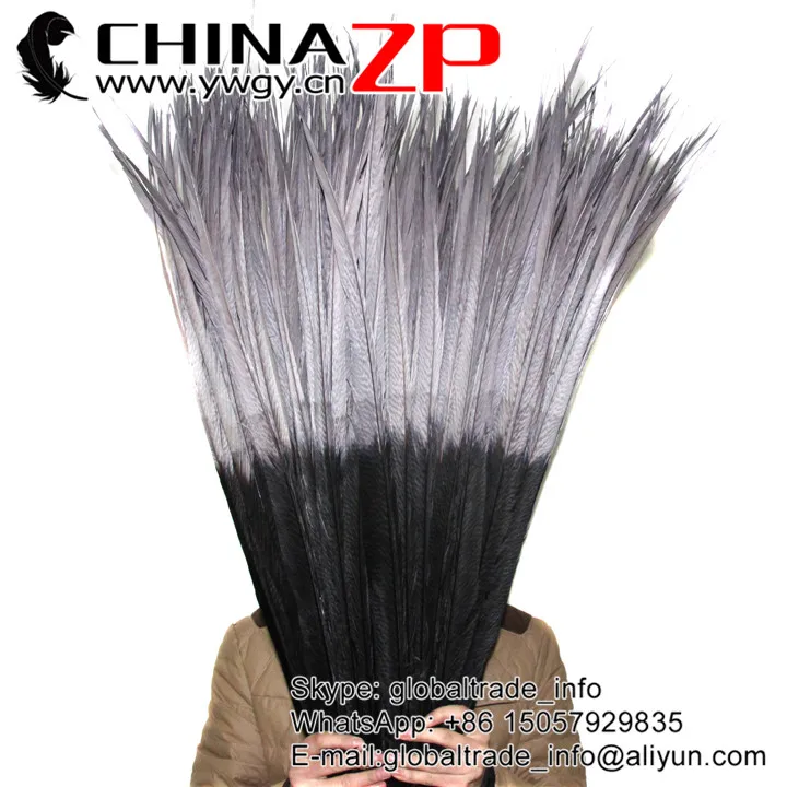 

CHINAZP Feathers 65~70cm(26~28inch) Grey Tip Black Color Long Golden Pheasant Center Tail Feather Wholesale Carnival Accessory