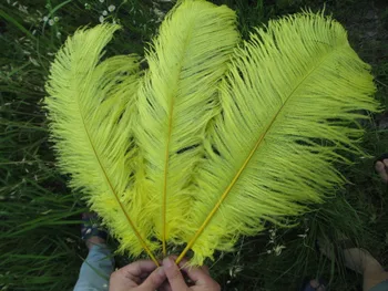 

Wholesale 10pcs / lot high quality ostrich feathers 22-24 inches / 55-60 cm yellow feather stage decoration celebration