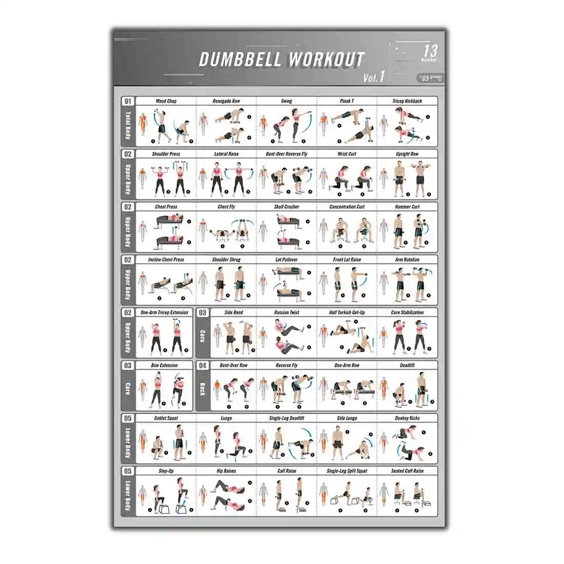 Dumbbell Exercises Chart Printable