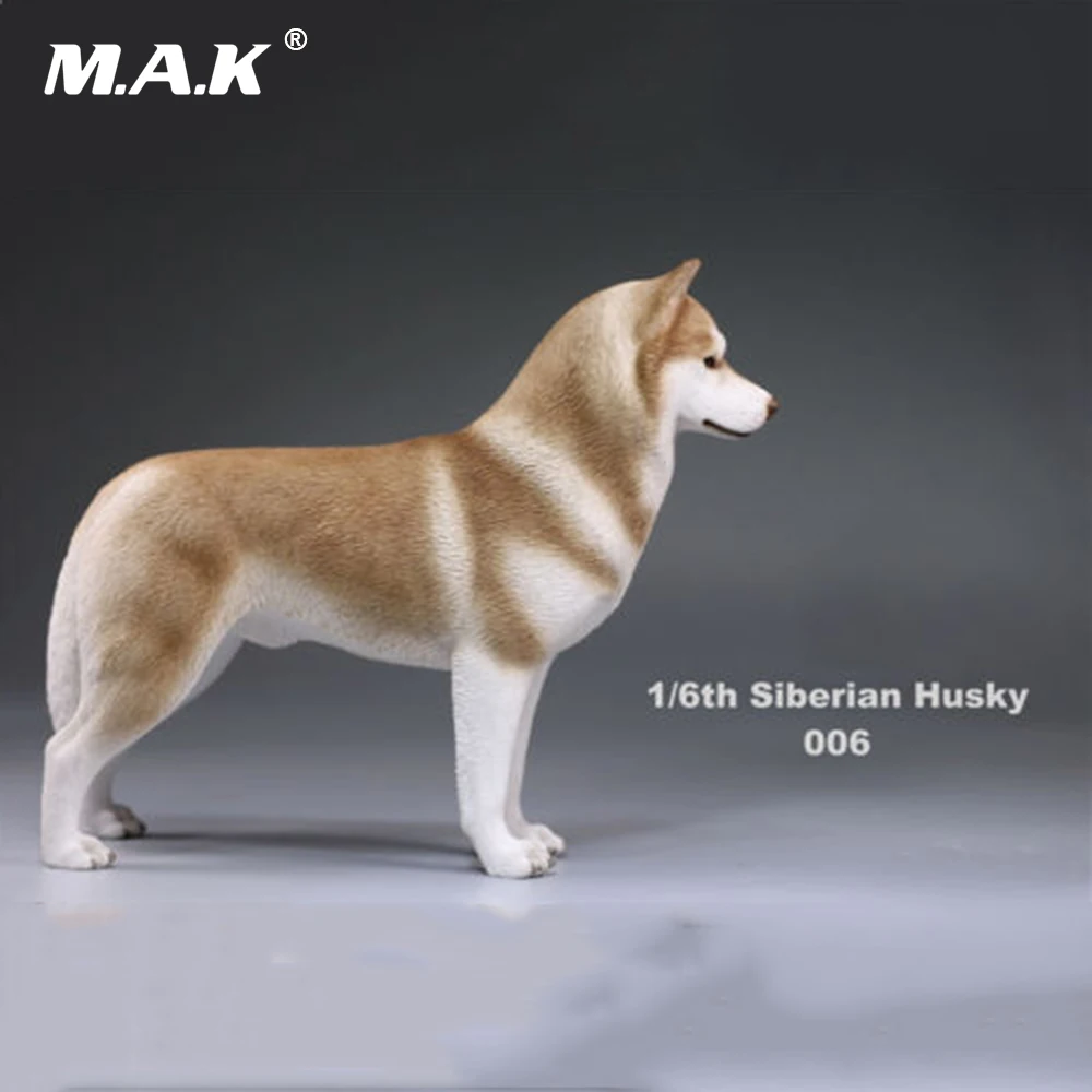 В наличии 1/6(12 &quot) модель собаки фигурку аксессуар 1:6 Сибирского Хаски