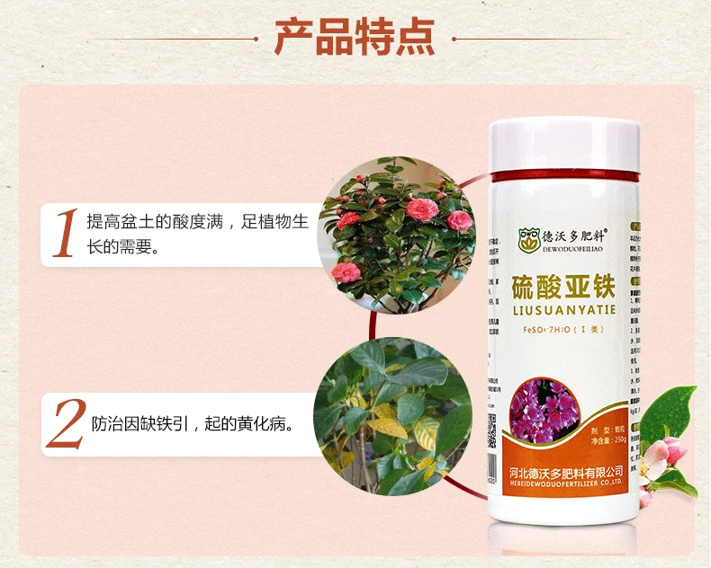 //img.alicdn.com/imgextra/i3/2921470000/O1CN011Bs2QwcAO3ZDvHl_!!2921470000.png