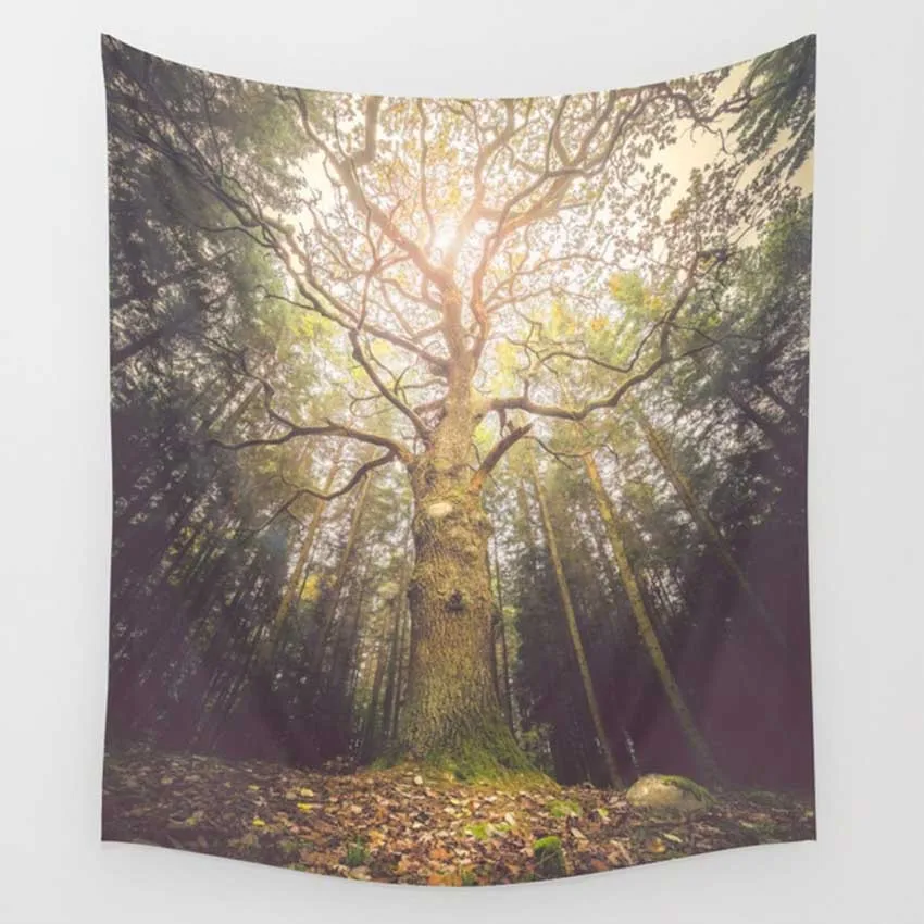 Hippie Mandala Wall Hanging Forest Printed Tapestry Bohemian Yoga Beach Mat Living Room Bedroom Home Towel Blanket Macrame Boho Hippie Mandala Wall Hanging Forest Printed Tapestry Bohemian Yoga Beach Mat Living Room Bedroom Home Towel Blanket Macrame Boho