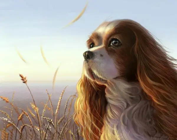 

5D diamond painting dog icon rhinestones embroidery animal beaded cross stitch puzzle