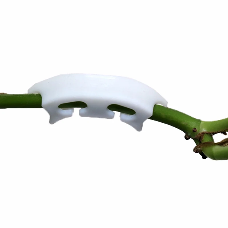 Tomato Clips Agriculture Greenhouse Retaining Clips Plant Fruit Tree Branches Strengthen Support Clip Tool 100 Pcs plant fastening clips