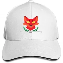 Ведьма хорек Snapback Кепка плоская купюра шляпы Регулируемая пустая Кепка s для мужчин и женщин