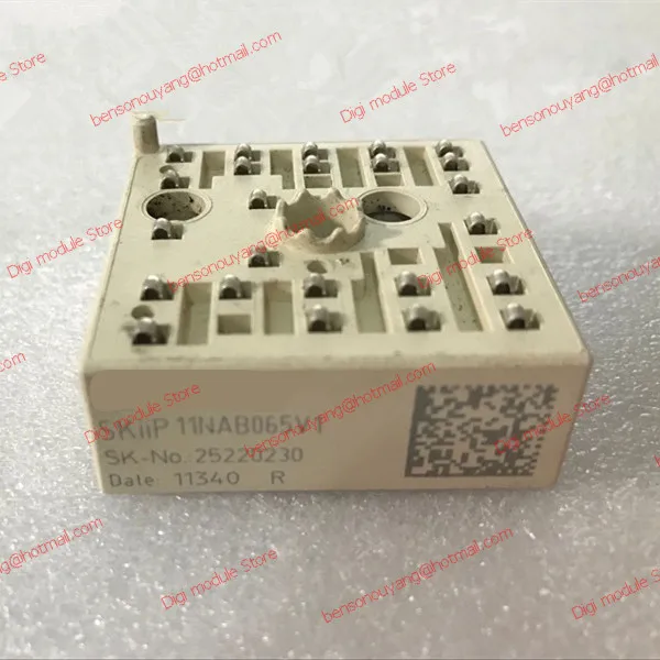 

SKIIP11NAB065V1 SKIIP 11NAB065V1 Free Shipping