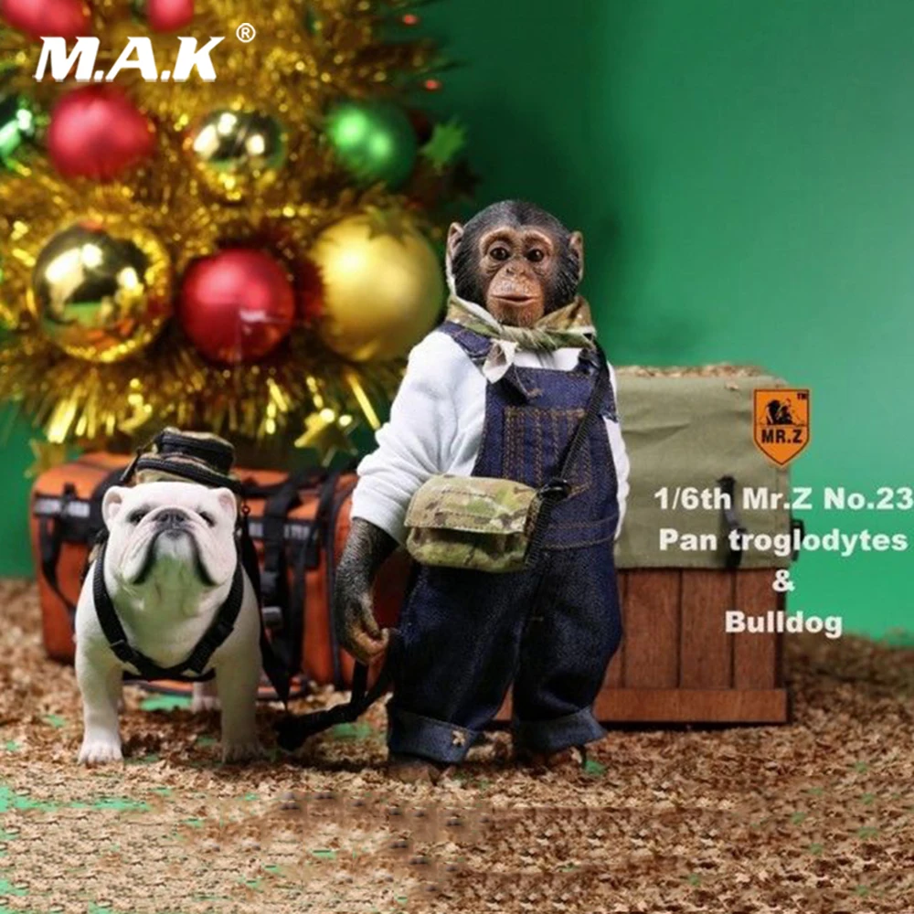 

1:6 action figure Accessories Mr.Z 1/6 Chimpanzee and Bulldog Suit Pan Troglodytes Pet Dog Model F Collection