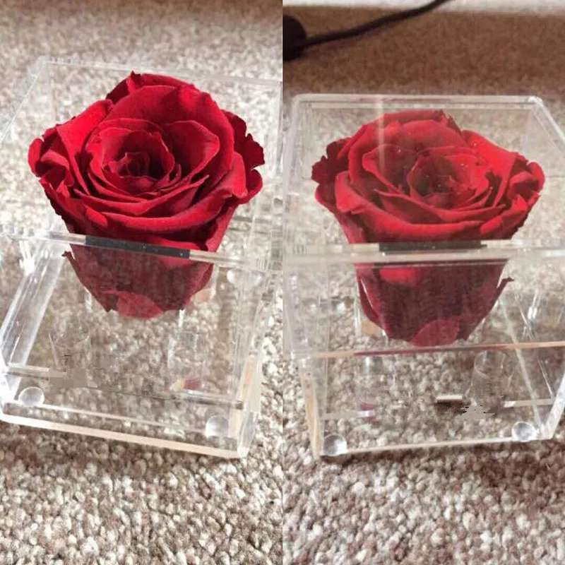 Acrylic-Flower-Box-One-Frame-Rose-Small-Box-Valentine-s-Day-Present-Surprise-Gift-Without-Flowers (2)