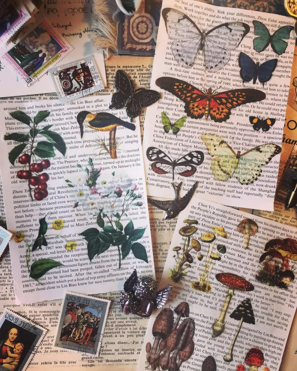 Бабочка растение иллюстрация завод иллюстрация цветная бумага наклейки D008
