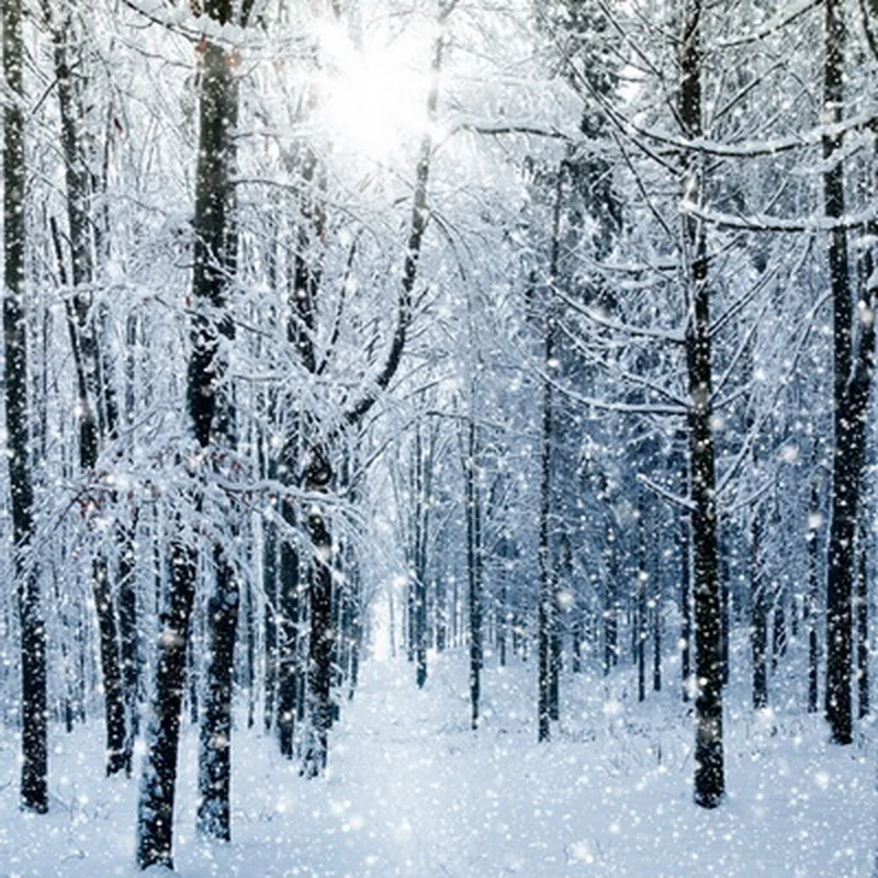 

HUAYI Snowy Forest Deep Path Photography Backdrop D8708