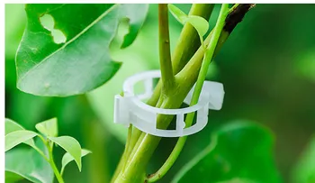 

50pcs Tomato Holder Applicator Vegetable Melon Plant Buckle Plant Clip Plastic Tie Folder Flexibility Not Hurting Seedlings