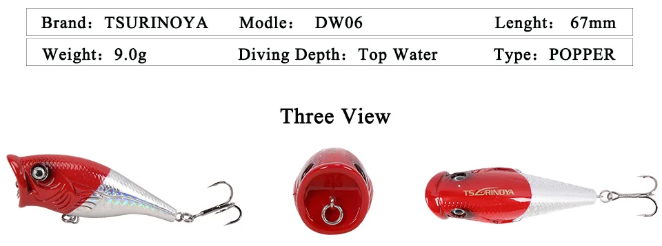 DW06_01