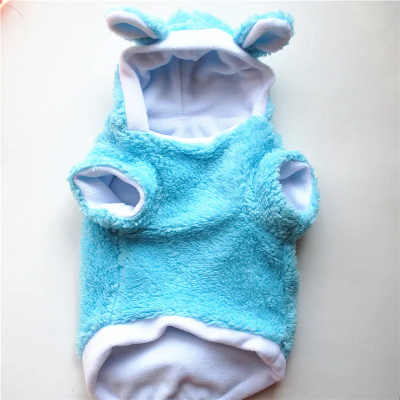 5586737616_361259826