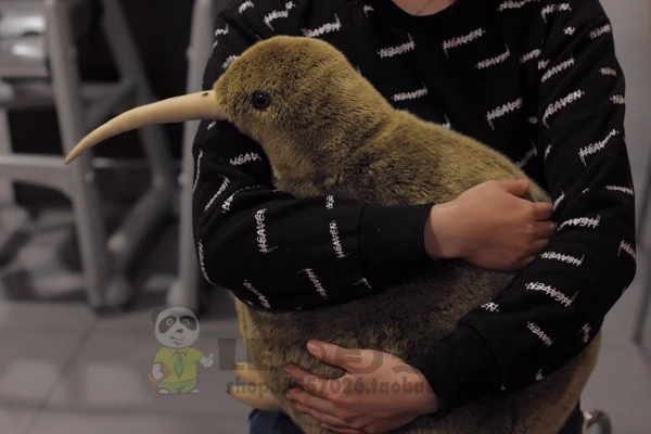 

Free shipping 2019 new Arrival Kiwi Bird Plush Toys Simulation Stuffed Animal plush toy 3 size for choose