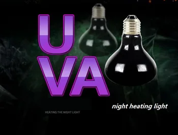 

reptile turtle Heating lamps Hedgehog Heating lamp Halogen lamp Uva Night light Moonlight Pet heating lamp
