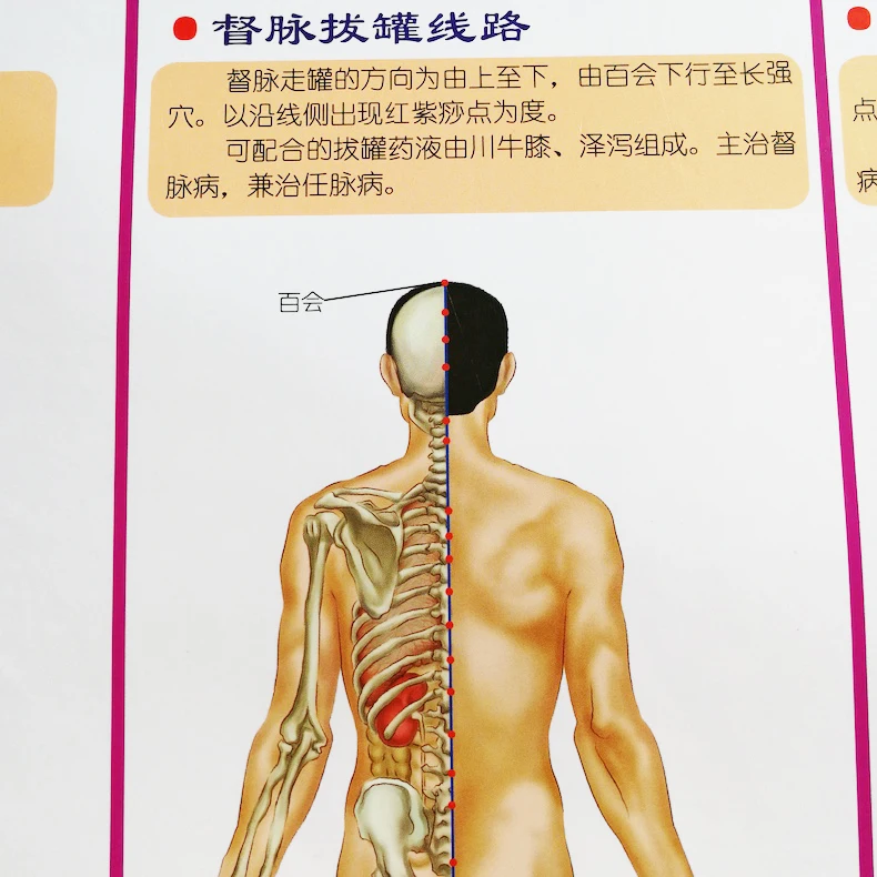 Китайские методы терапии(Ba Guan) со стандартными стеновыми картами(передняя/задняя/для общей болезни