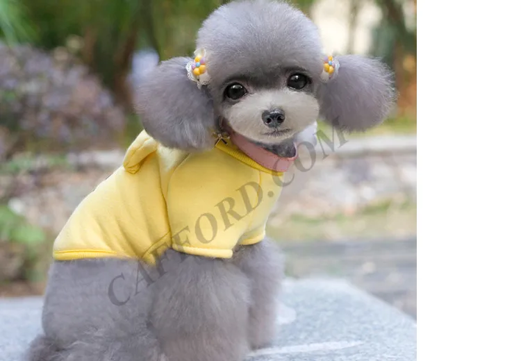 winnie the pooh dog sweater