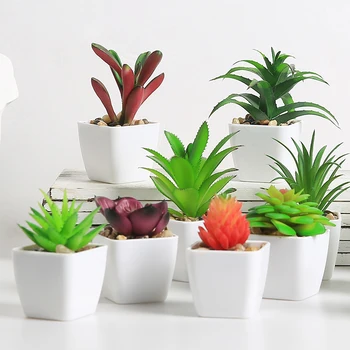 Yumai-mini Cactus suculento en maceta para decoración de escritorio, plantas, maceta suculentas artificiales con decoración hogar, Accesorios