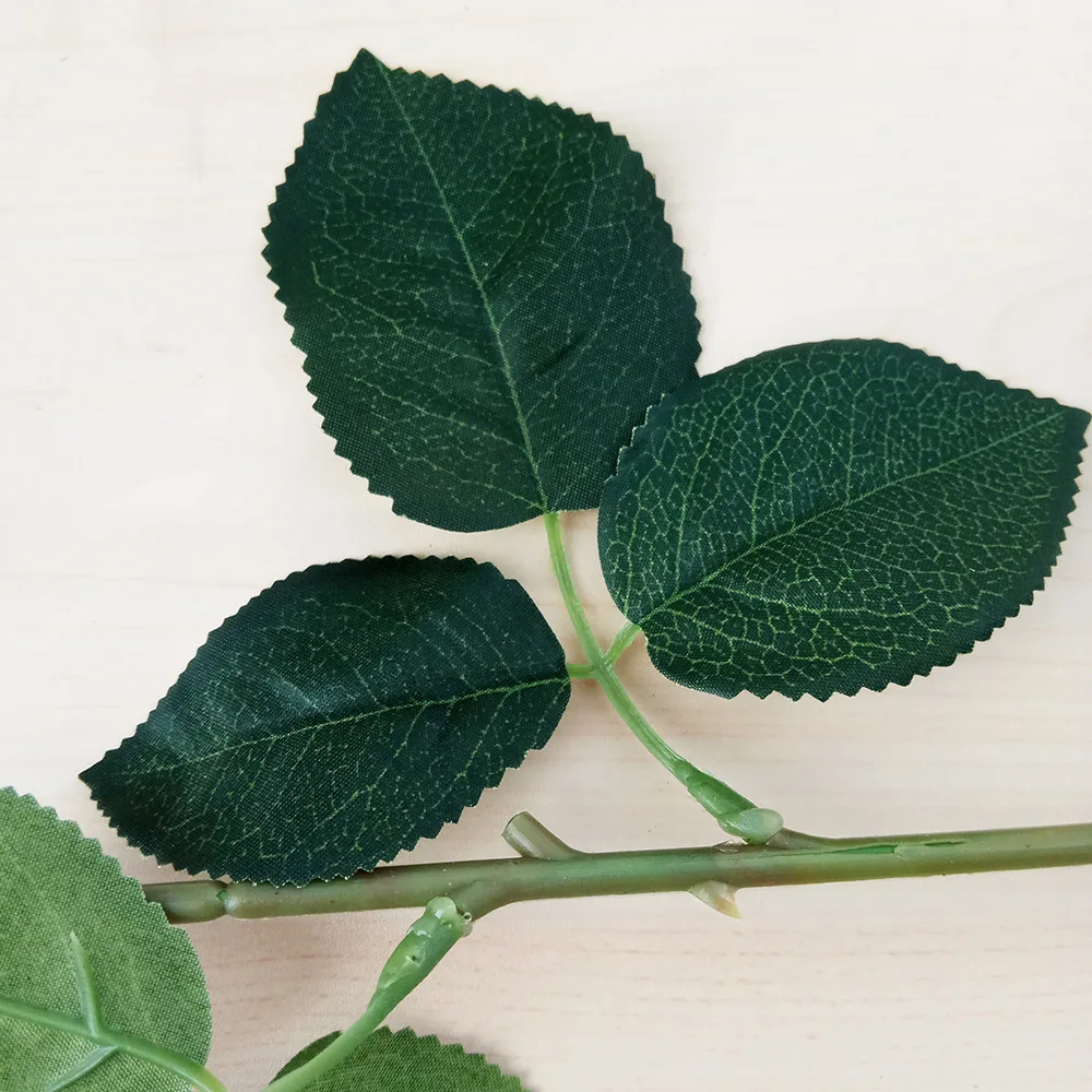 IMG_20180131_155233[1]