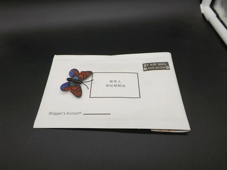 I246-Butterfly (14)