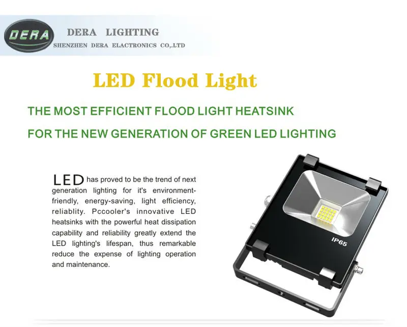 Flood Light DY-FLSMD -10w-8-1