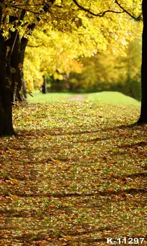 

Autumn Scenery Forest Photo Backgrounds Wedding Studios Art Backdrops Vinyl Yellow Leaves