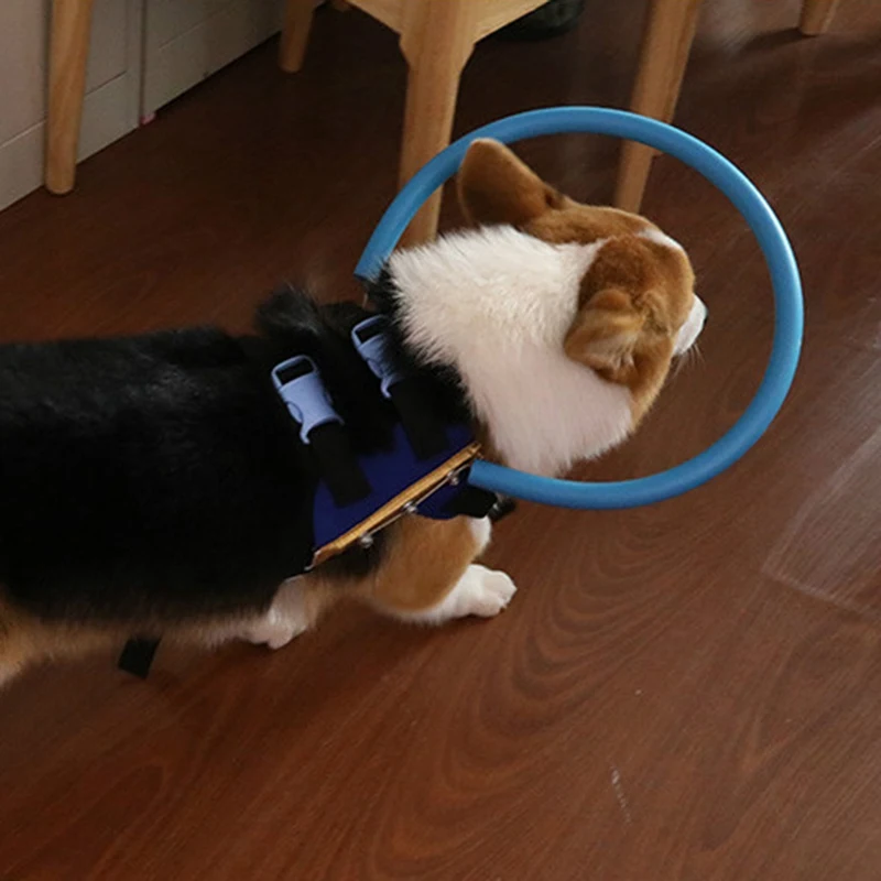 Pet анти-столкновения кольцо катаракта животное защита кольцо Руководство Собака лепидоптер щенок собака
