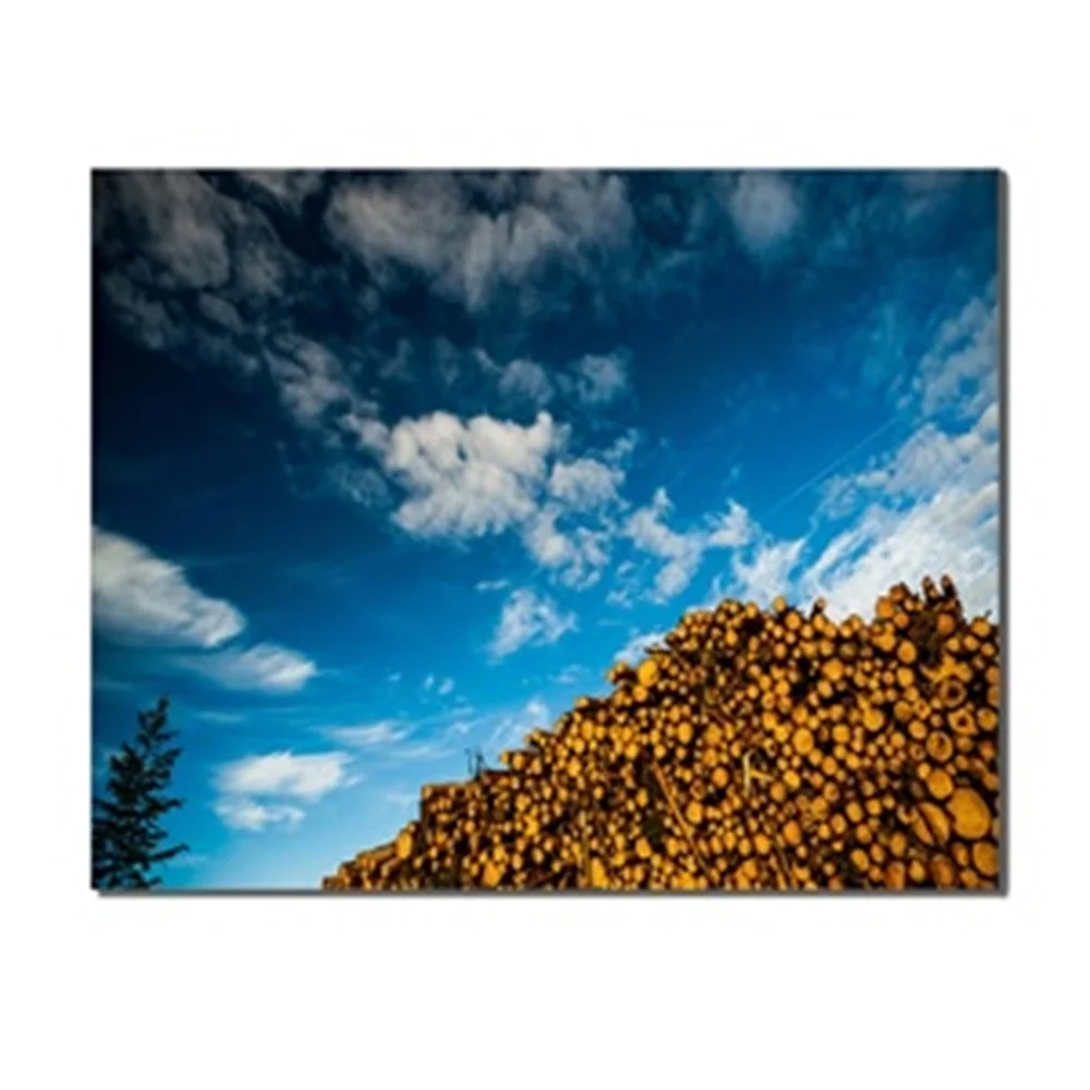 

Sunny Blue Sky Cloud Wood Pile Decorative Picture For Home Decoration Living Room Kids Room No Frame Oil Painting Unique Gift