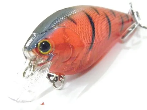c429x32