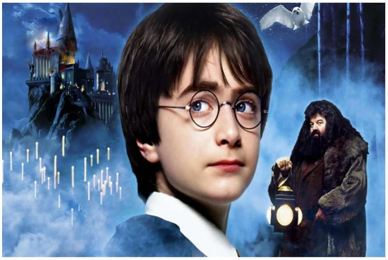 

5D DIY Diamond Embroidery Harry potter Painting Cross Stitch Home Decoration Diamond Mosaic Crafts 3d Kit For Needlework