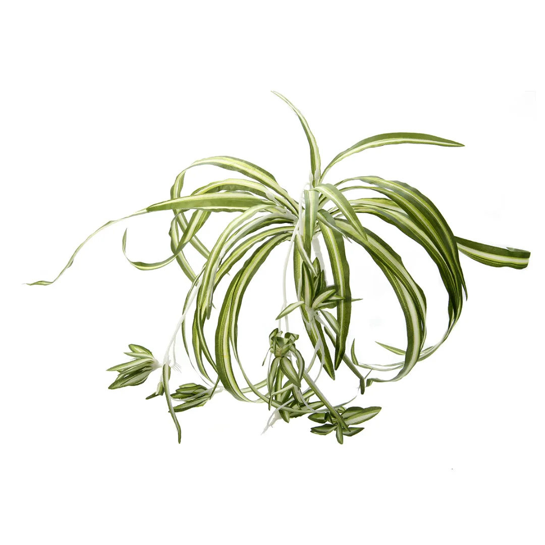 Artificial Faux Silk Spider Greenery Plant Chlorophytum Comosum Wall Hanging Silk Flower fpr Home Decor Wedding Party Decoration