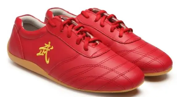 Martial Arts Tai Chi Shoes Soft Leather Embroidered
